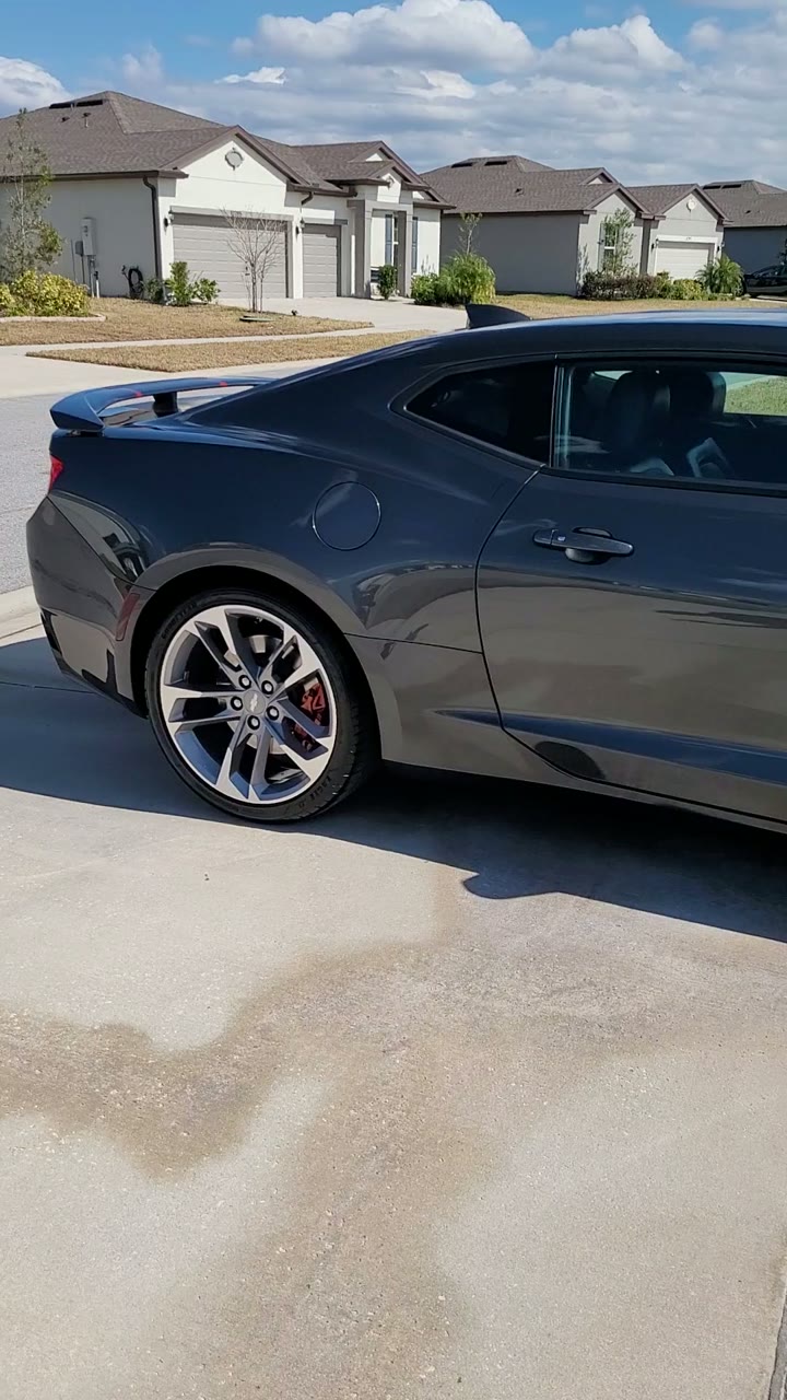 Camaro Fifty with a deep gloss finish detailed by Rico's